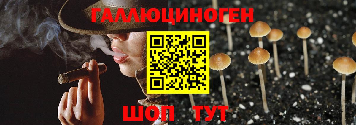 Аксай  Галлюциногенные грибы мухоморы  Вход с VPN 
